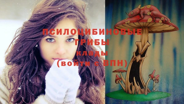мефедрон Богородицк