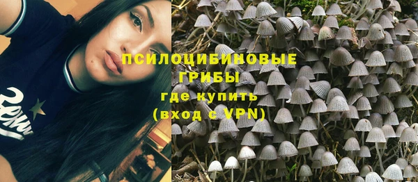 прущий лед Богородск