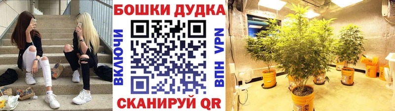 mega вход  дарнет шоп  Белоярский  Бошки марихуана планчик 